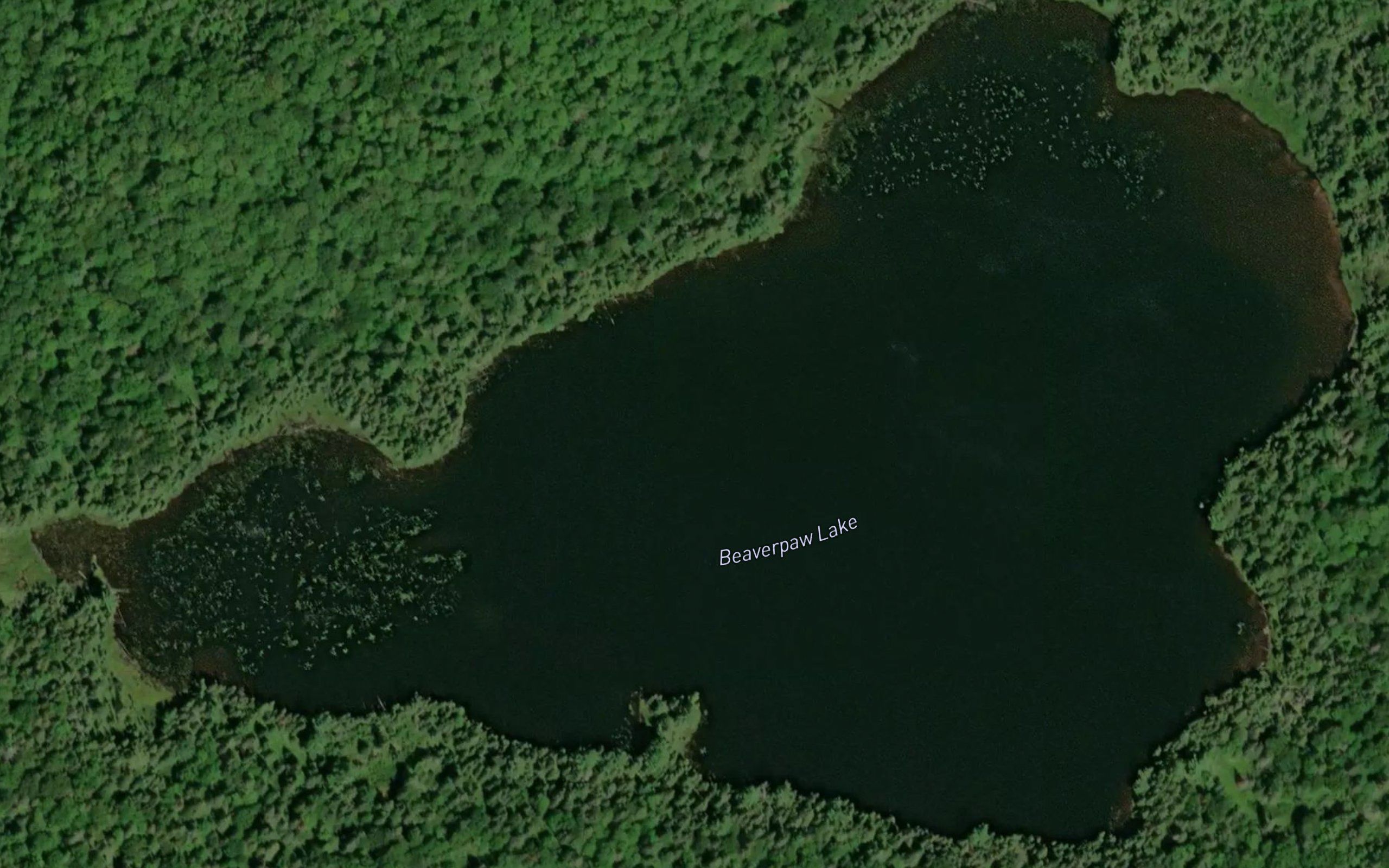 Beaverpaw Lake