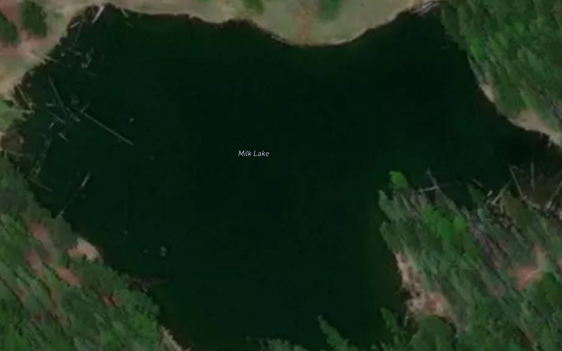 Satellite map of the Milk Lake
