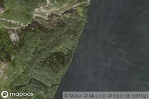 Svinevika