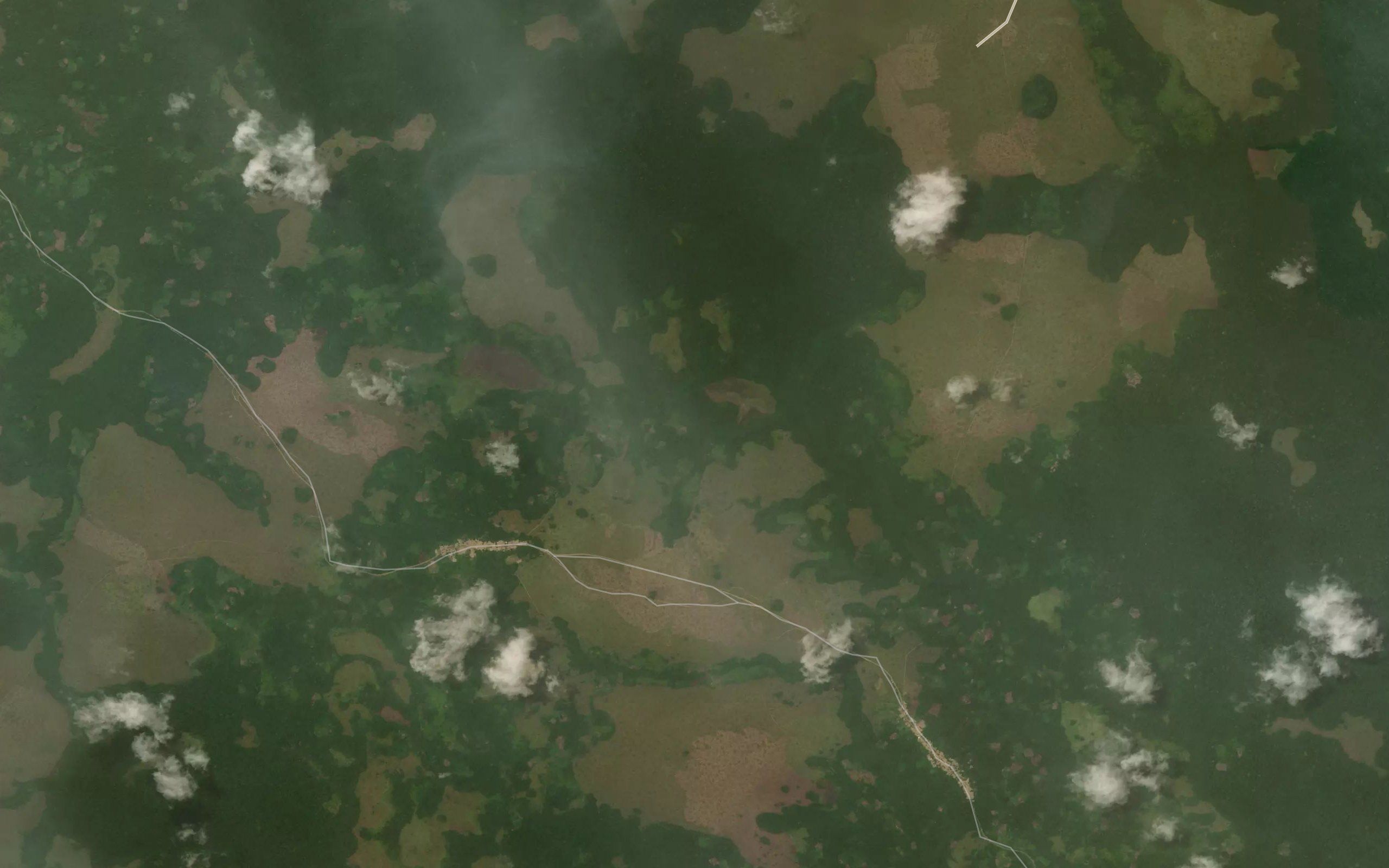 Ngoubegui