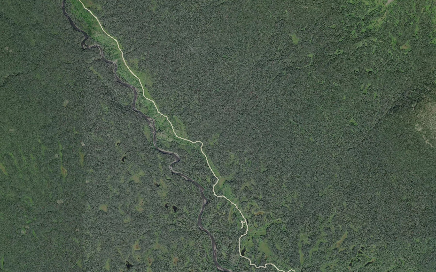 Satellite map of the Telfer Creek