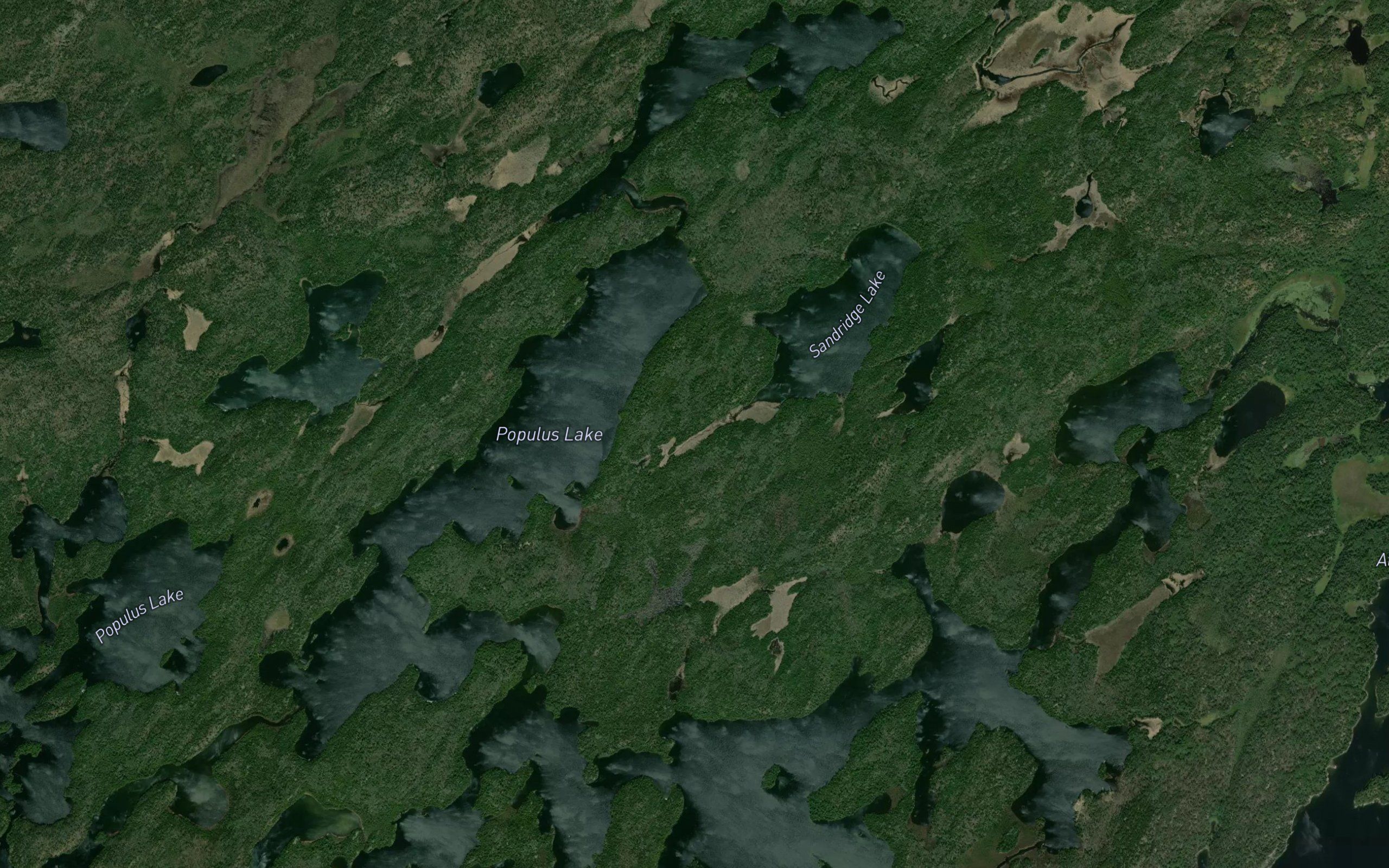 Populus Lake