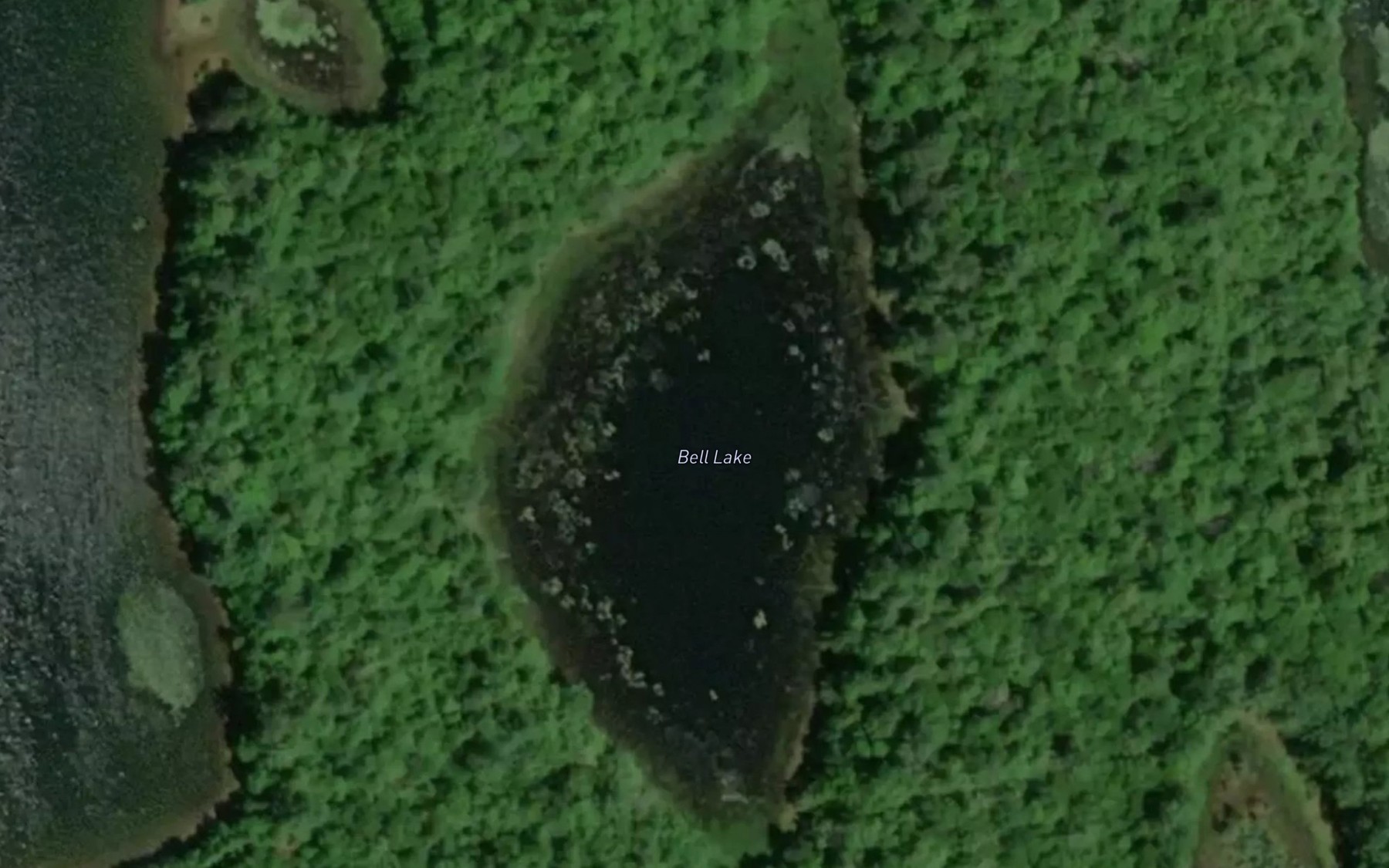 Satellite map of the Bell Lake