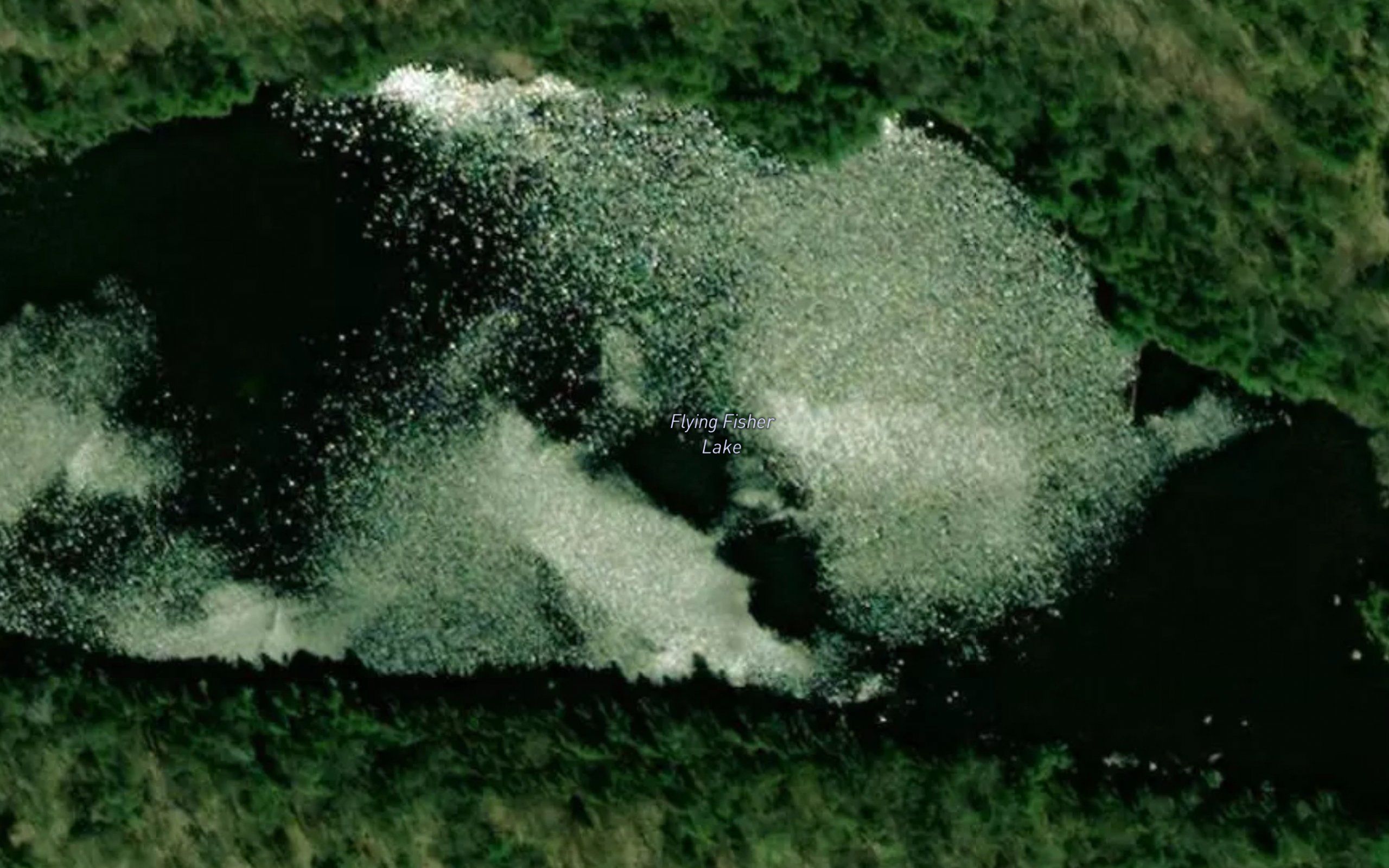 Flying Fisher Lake