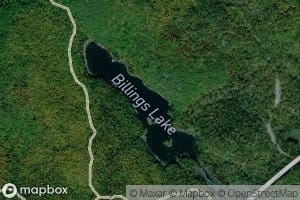 Billings Lake