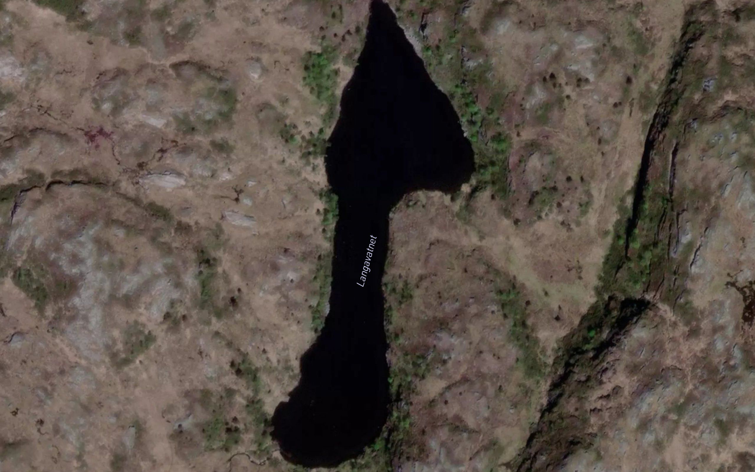 Langavatnet