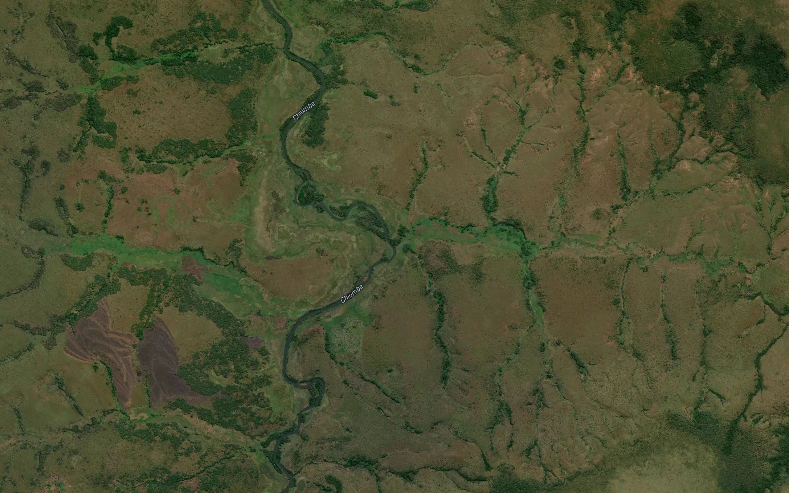 Luanga