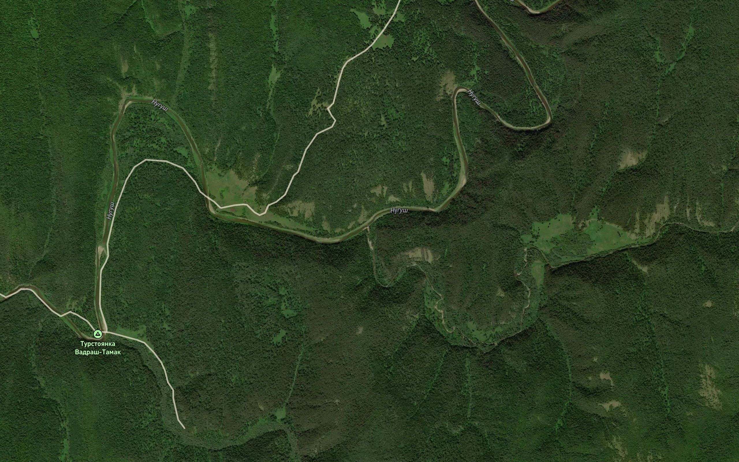 Kuzha