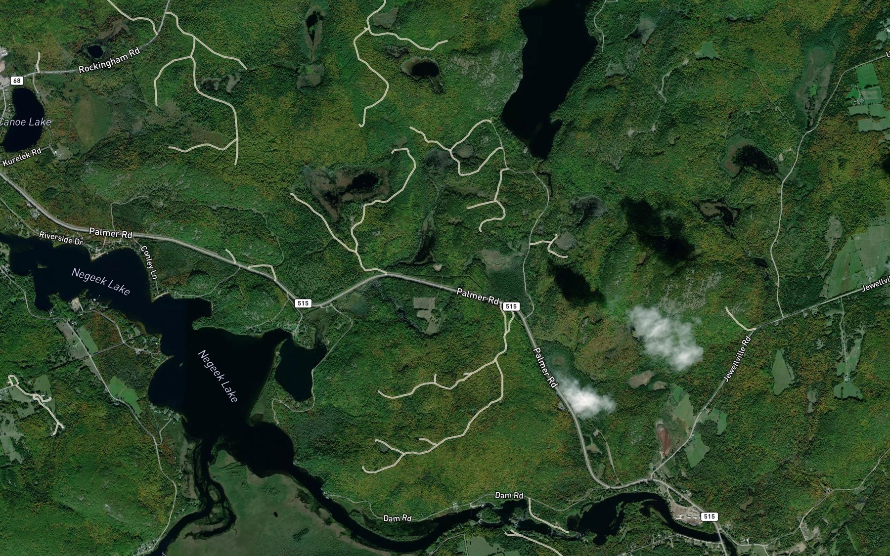 Satellite map of the Gruschwitz Pond