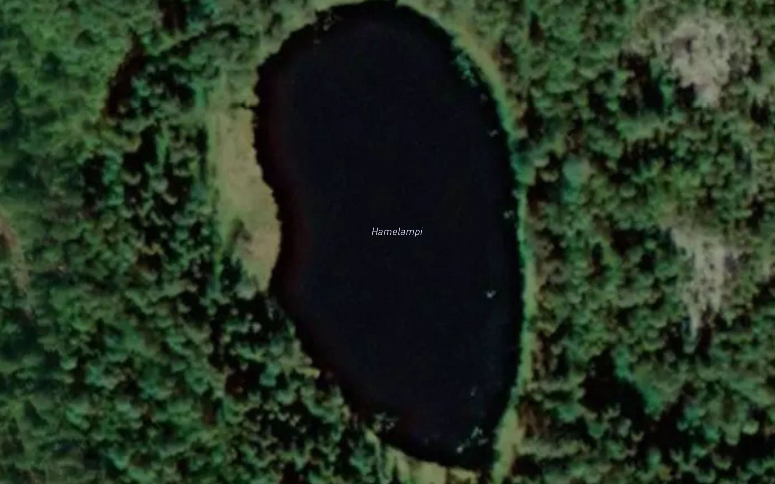 Hamelampi