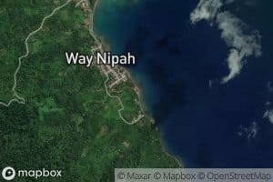Wai Nipah