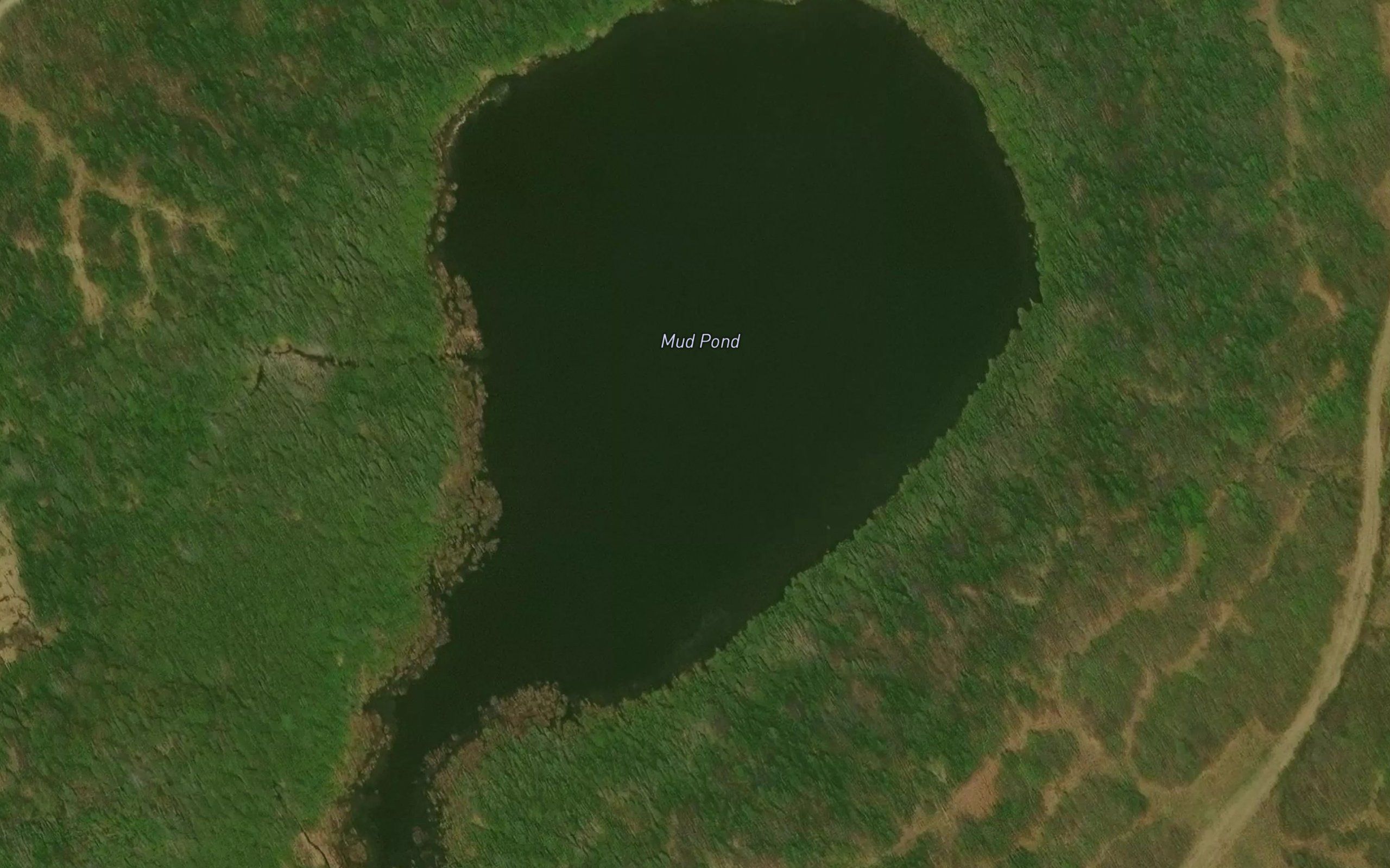 Mud Pond