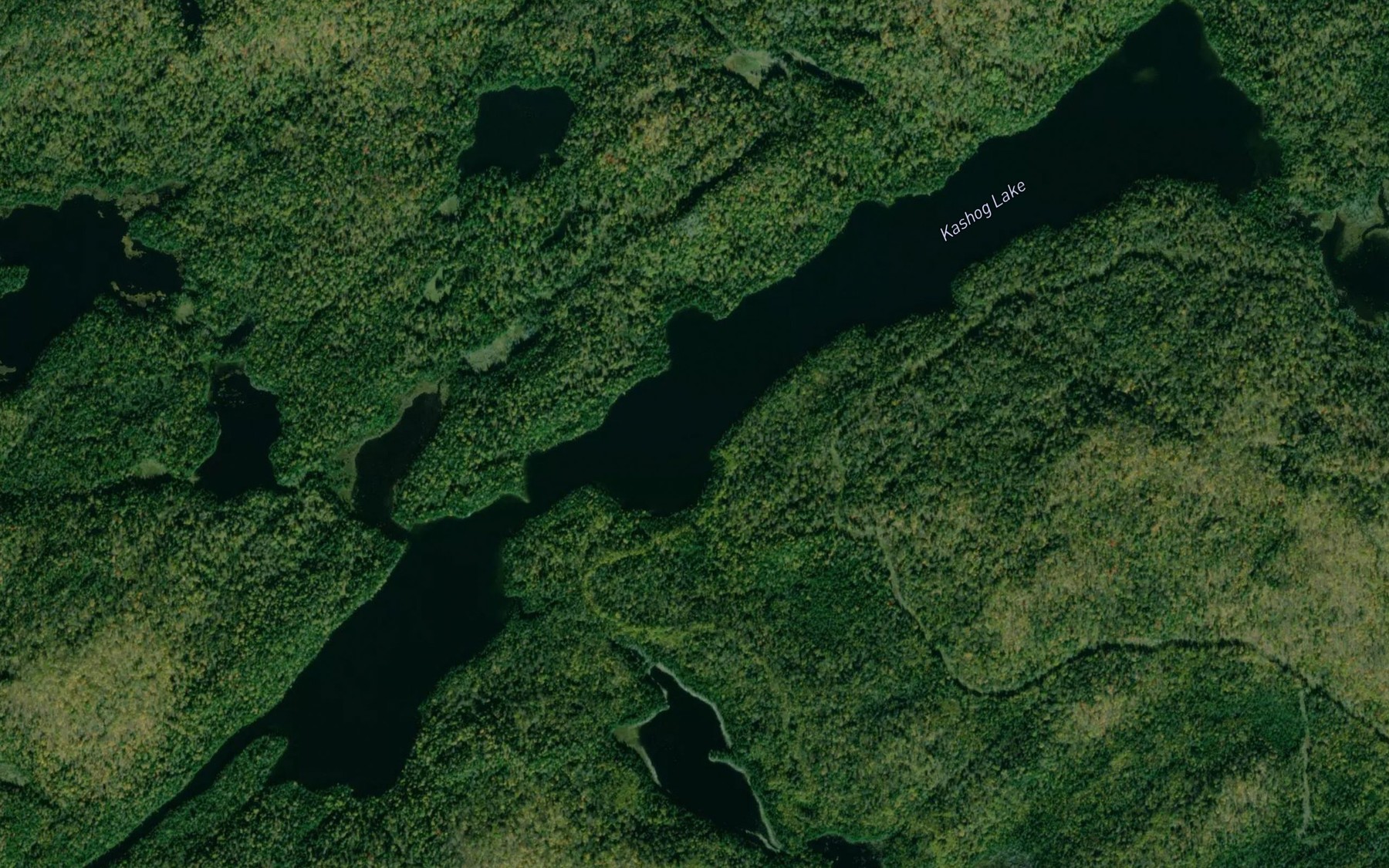 Satellite map of the Kashog Lake