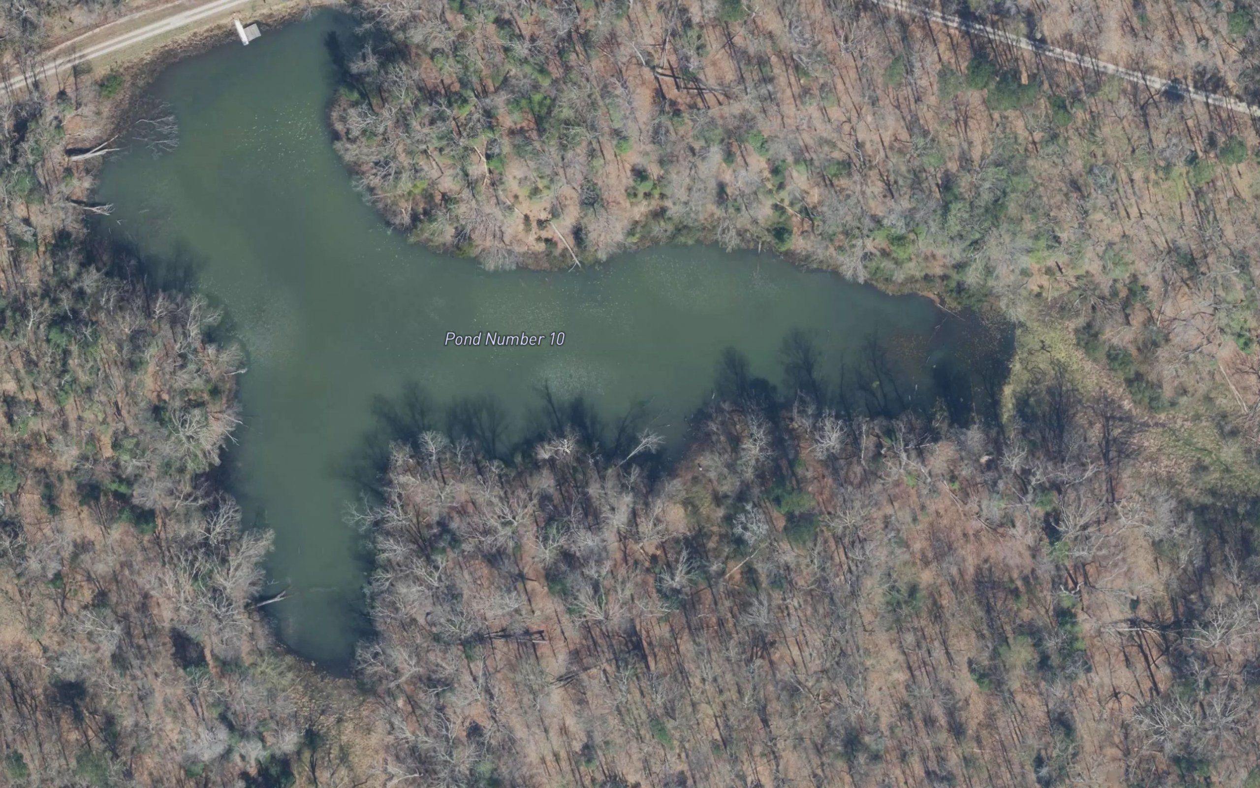 Pond Number 10