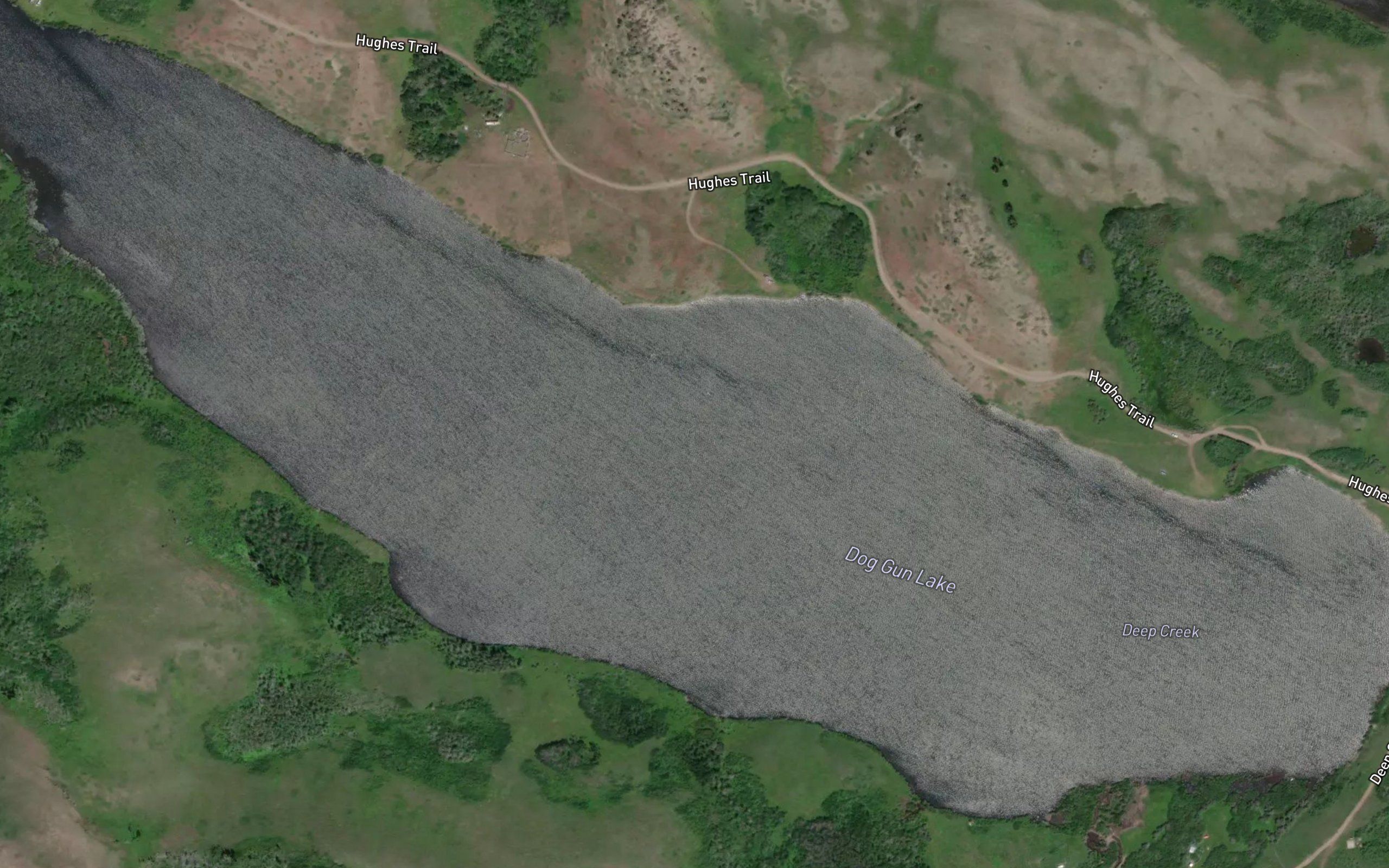 Dog Gun Lake