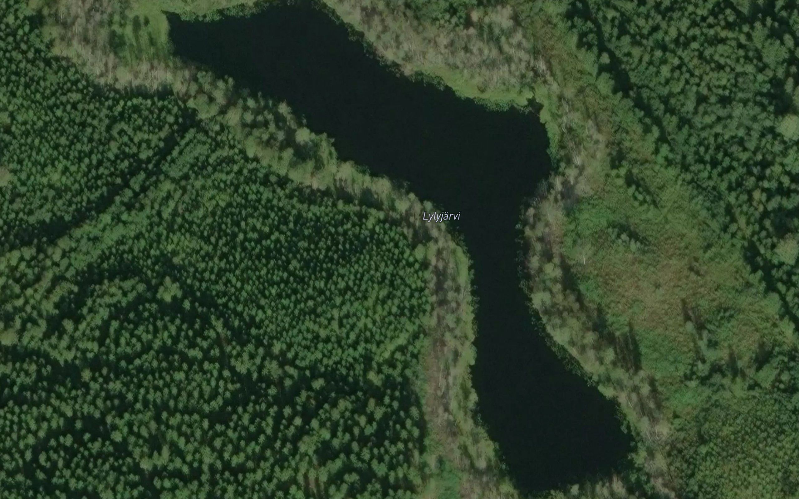 Lylyjarvi