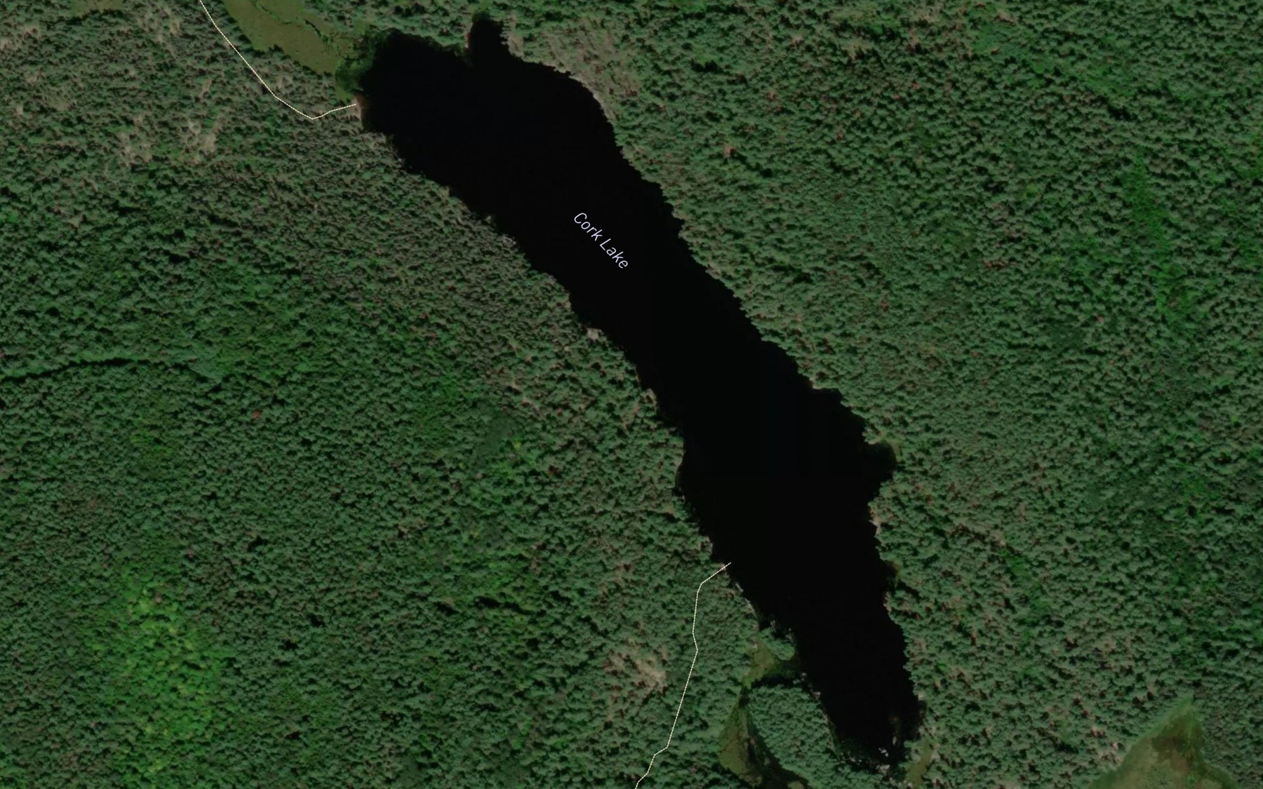 Satellite map of the Cork Lake