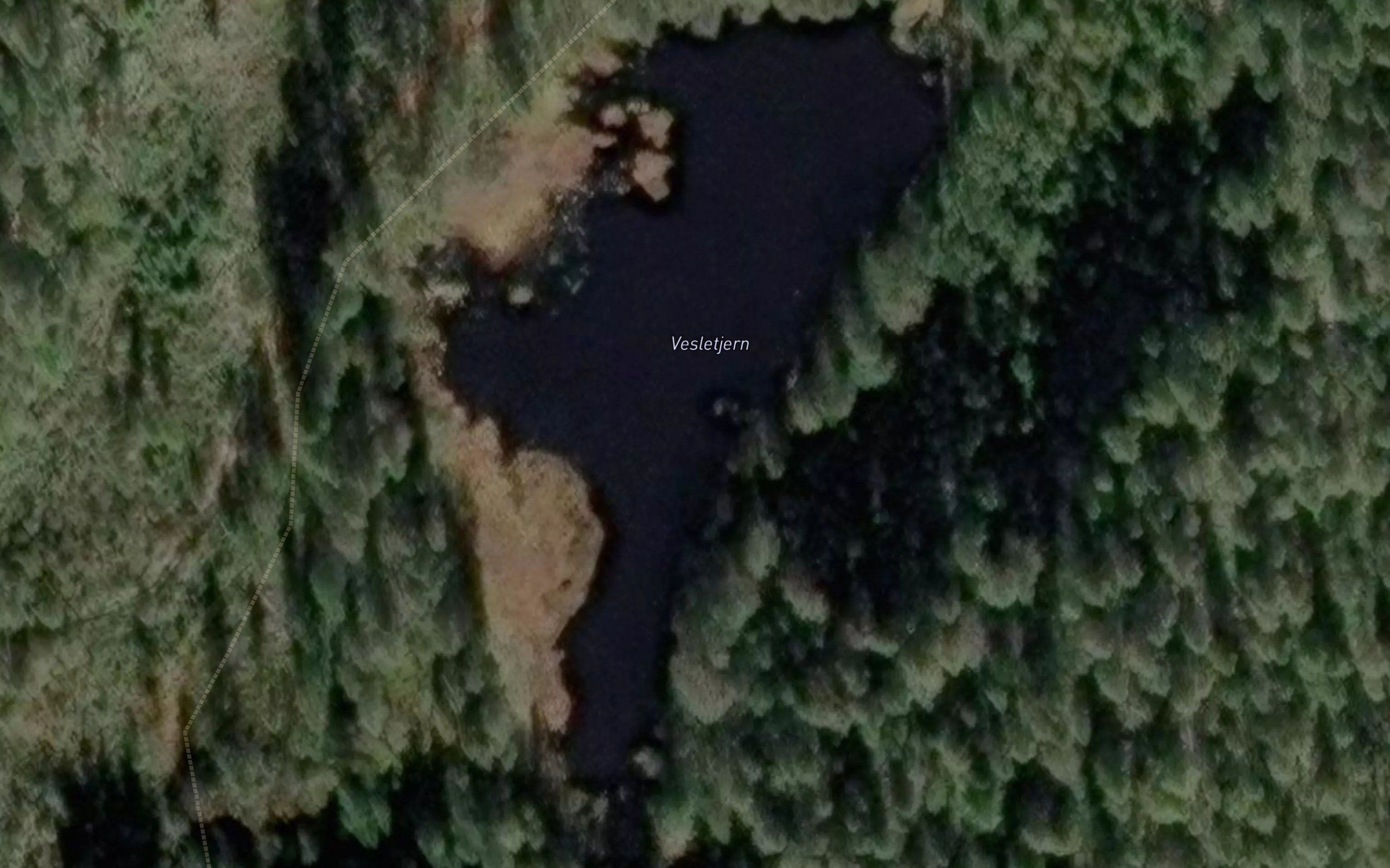 Vesletjern