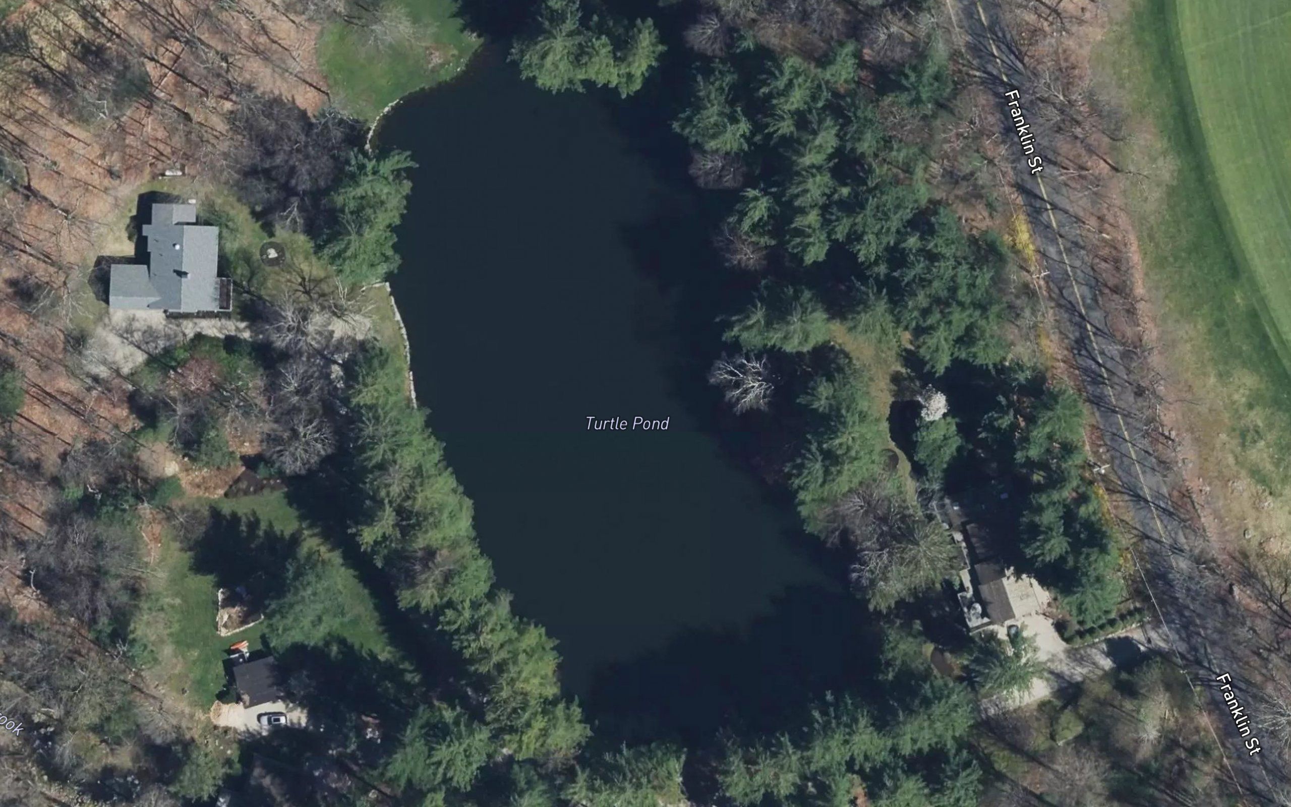 Turtle Pond