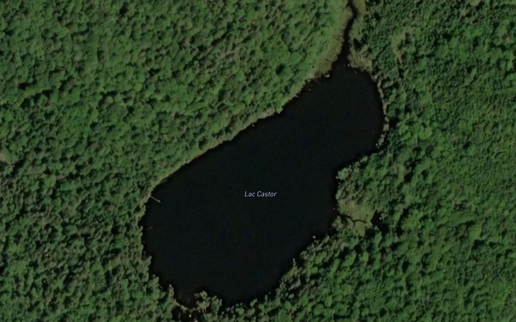 Satellite map of the Lac Castor