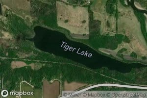 Tiger Lake
