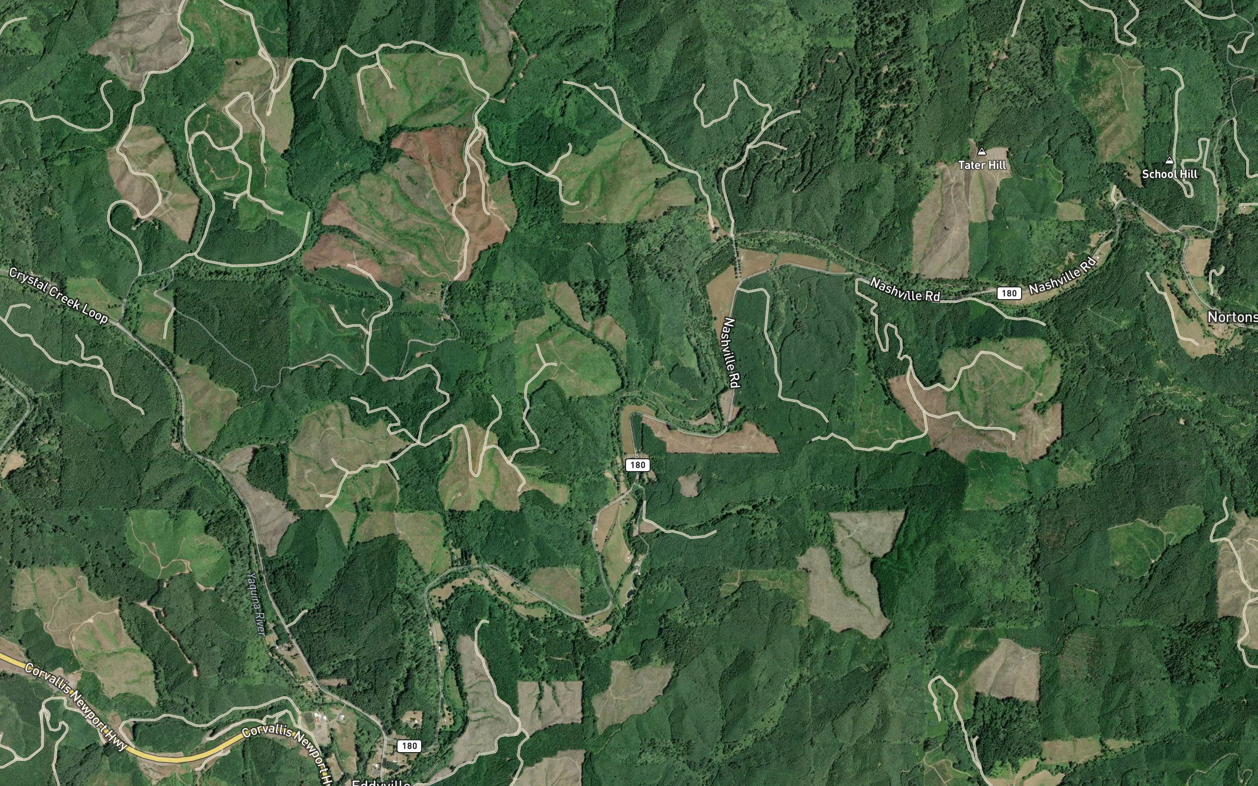 Trout Creek