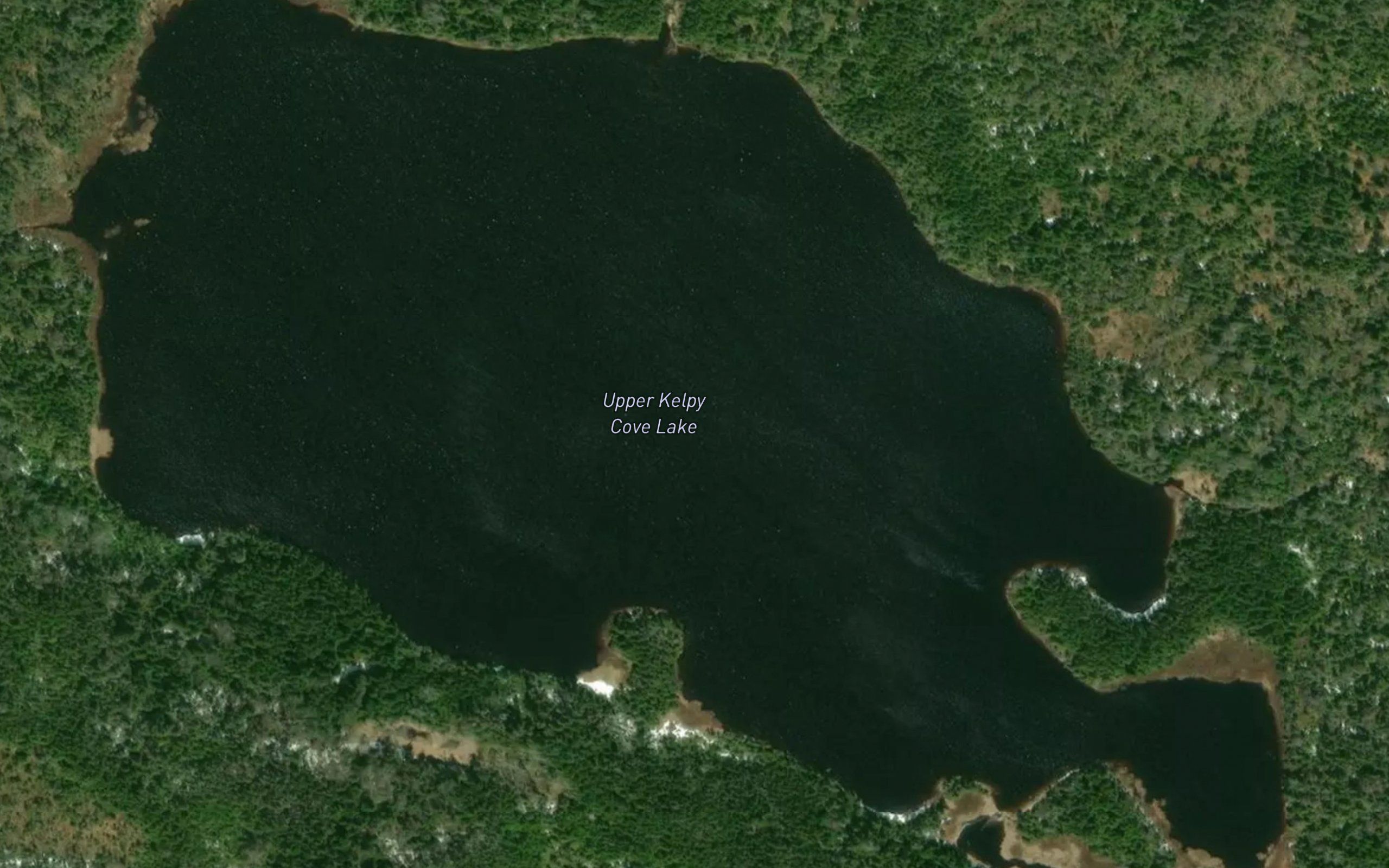 Upper Kelpy Cove Lake
