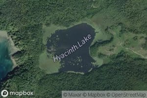 Hyacinth Lake