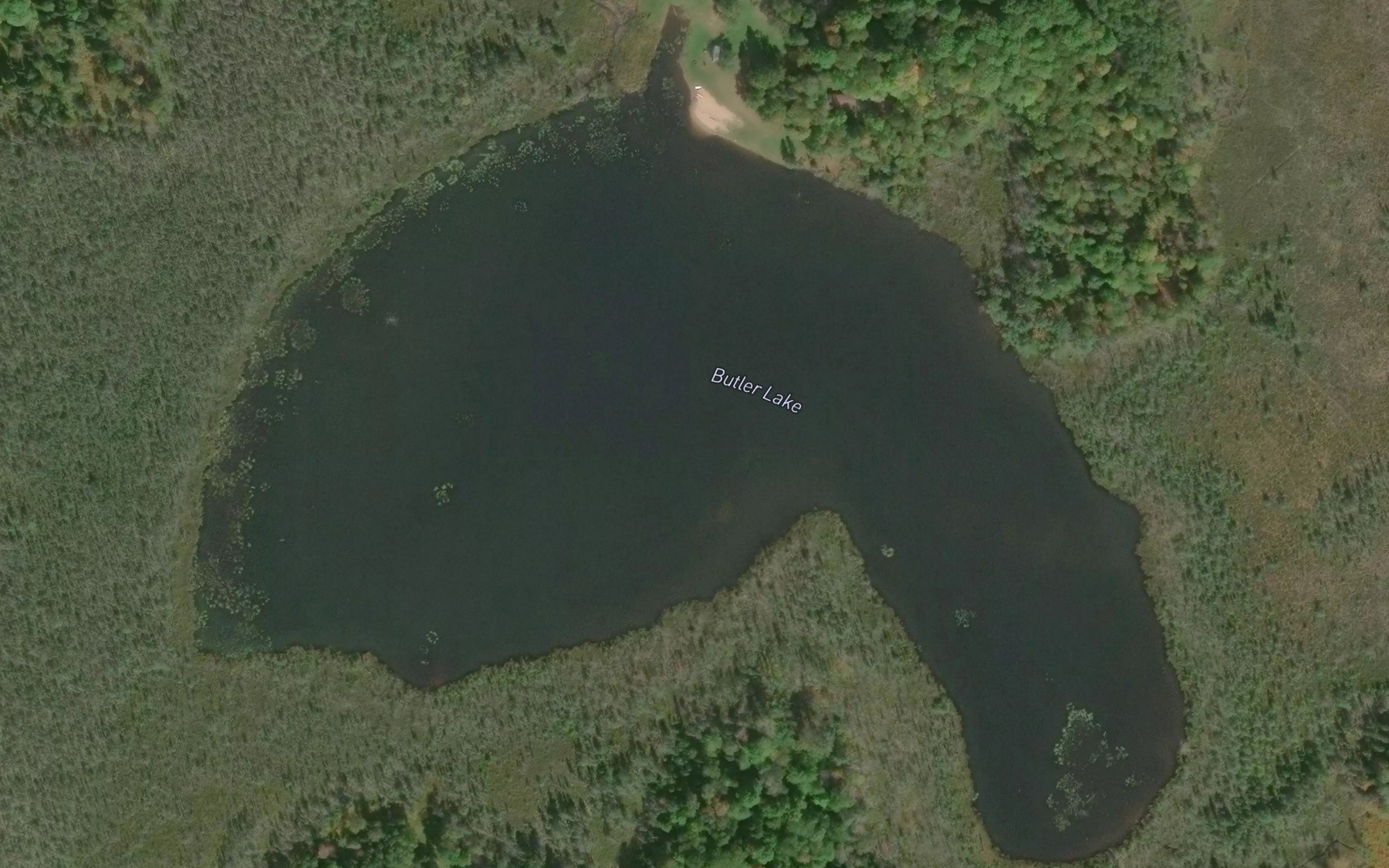 Satellite map of the Butler Lake