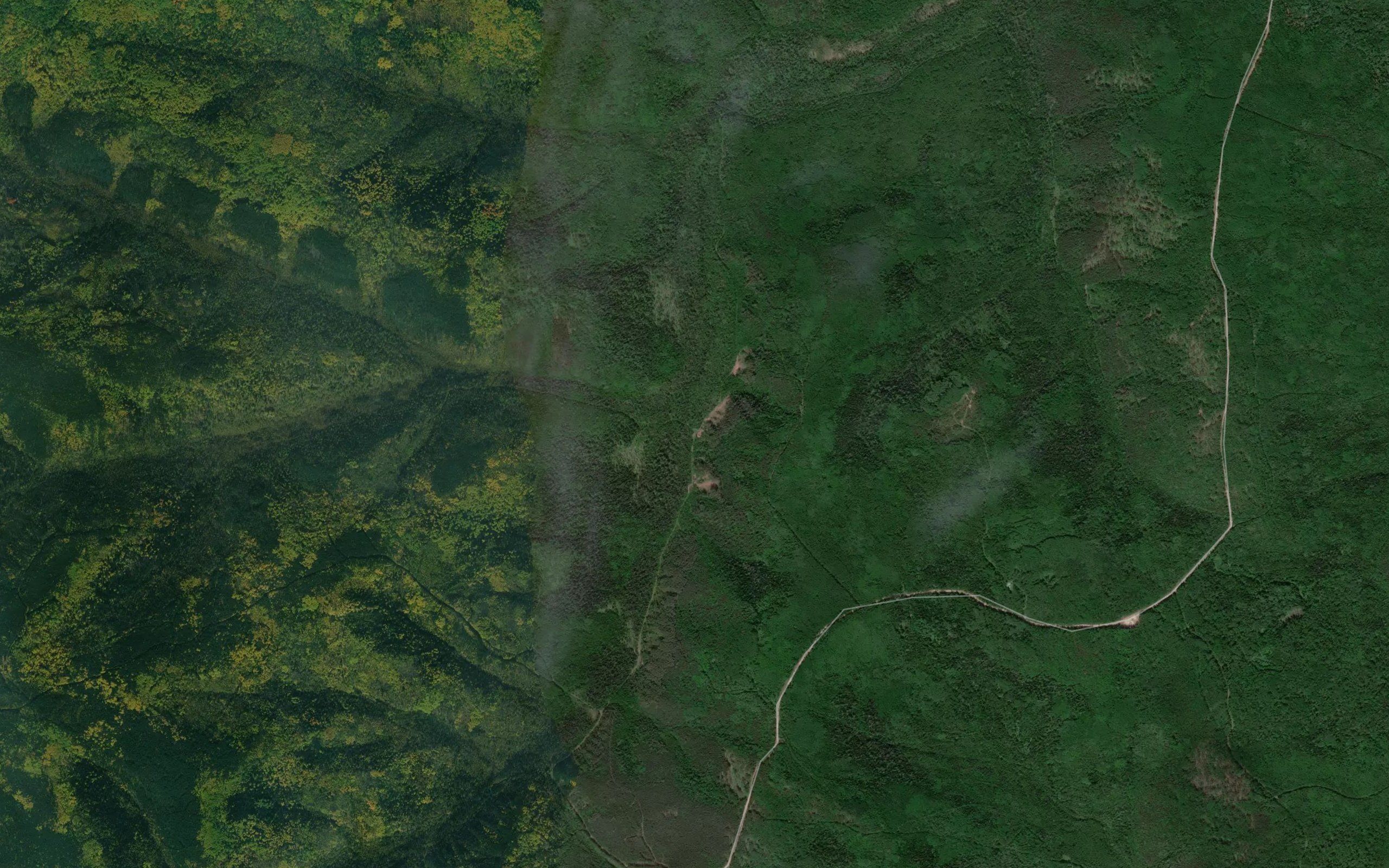 Tishkin