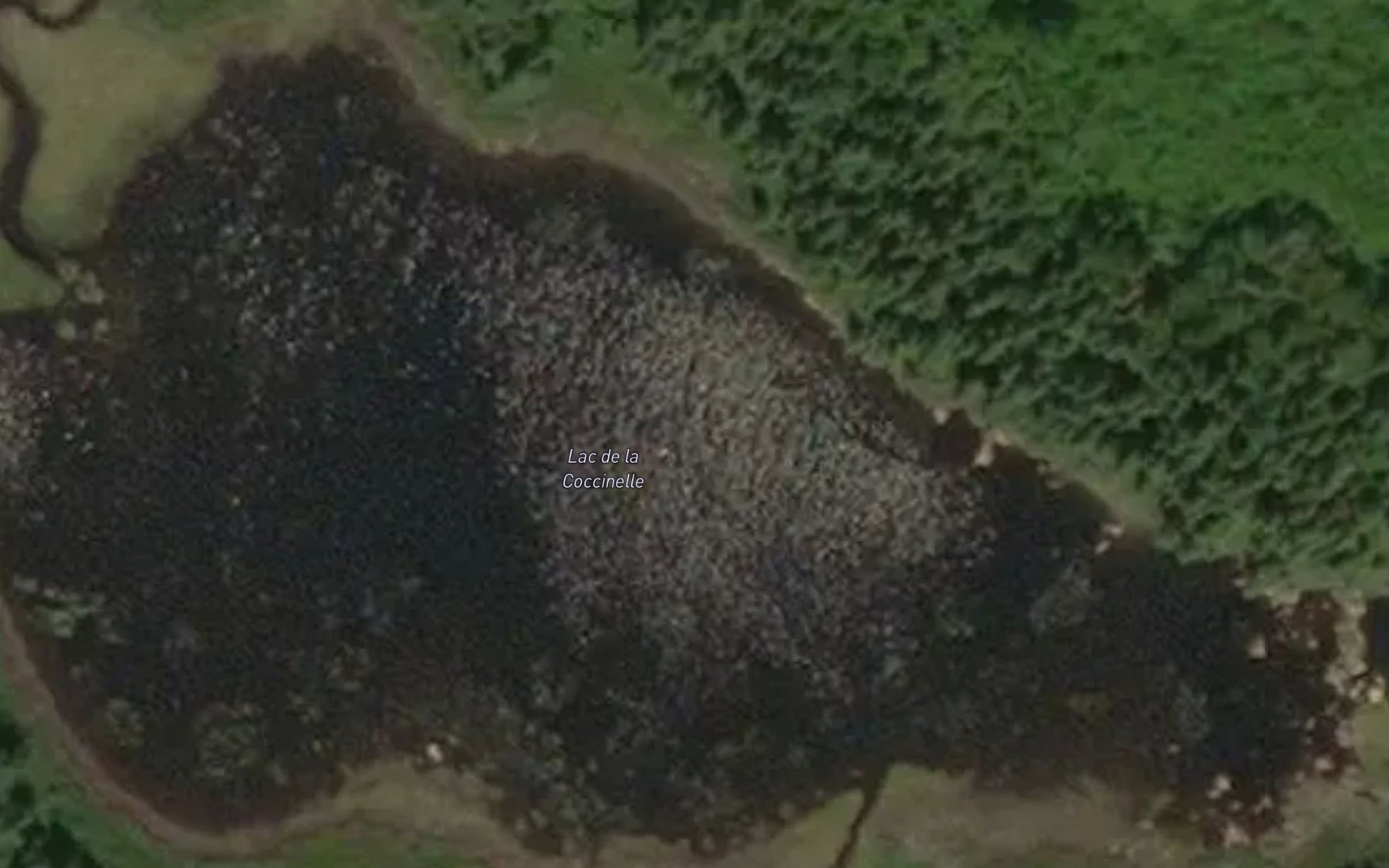 Satellite map of the Lac de la Coccinelle