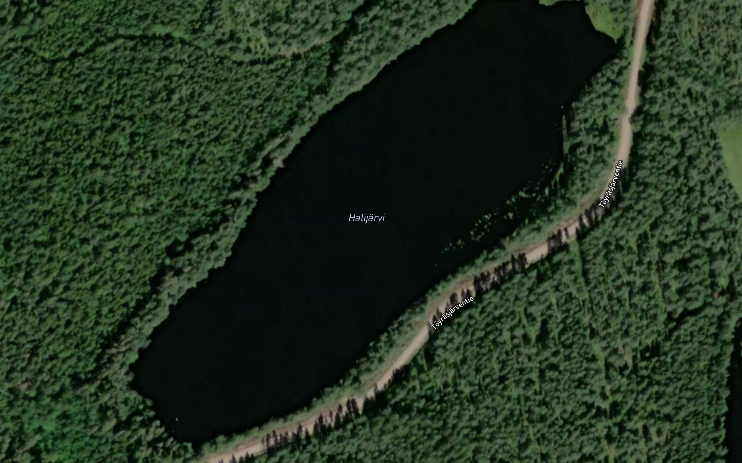Halijaervi