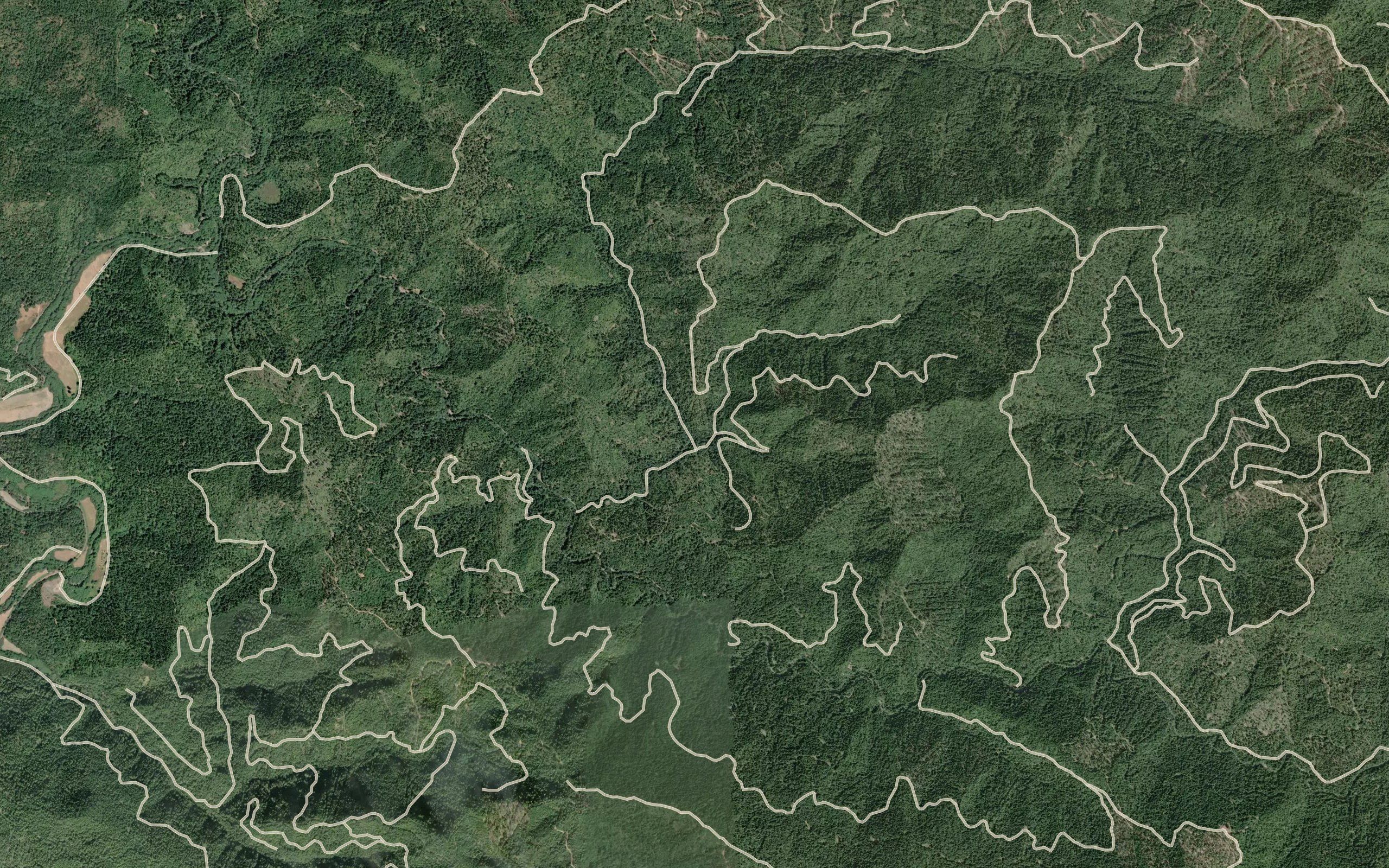 South Fork Bear Haven Creek