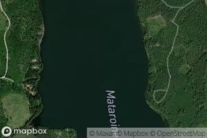 Mataroinen