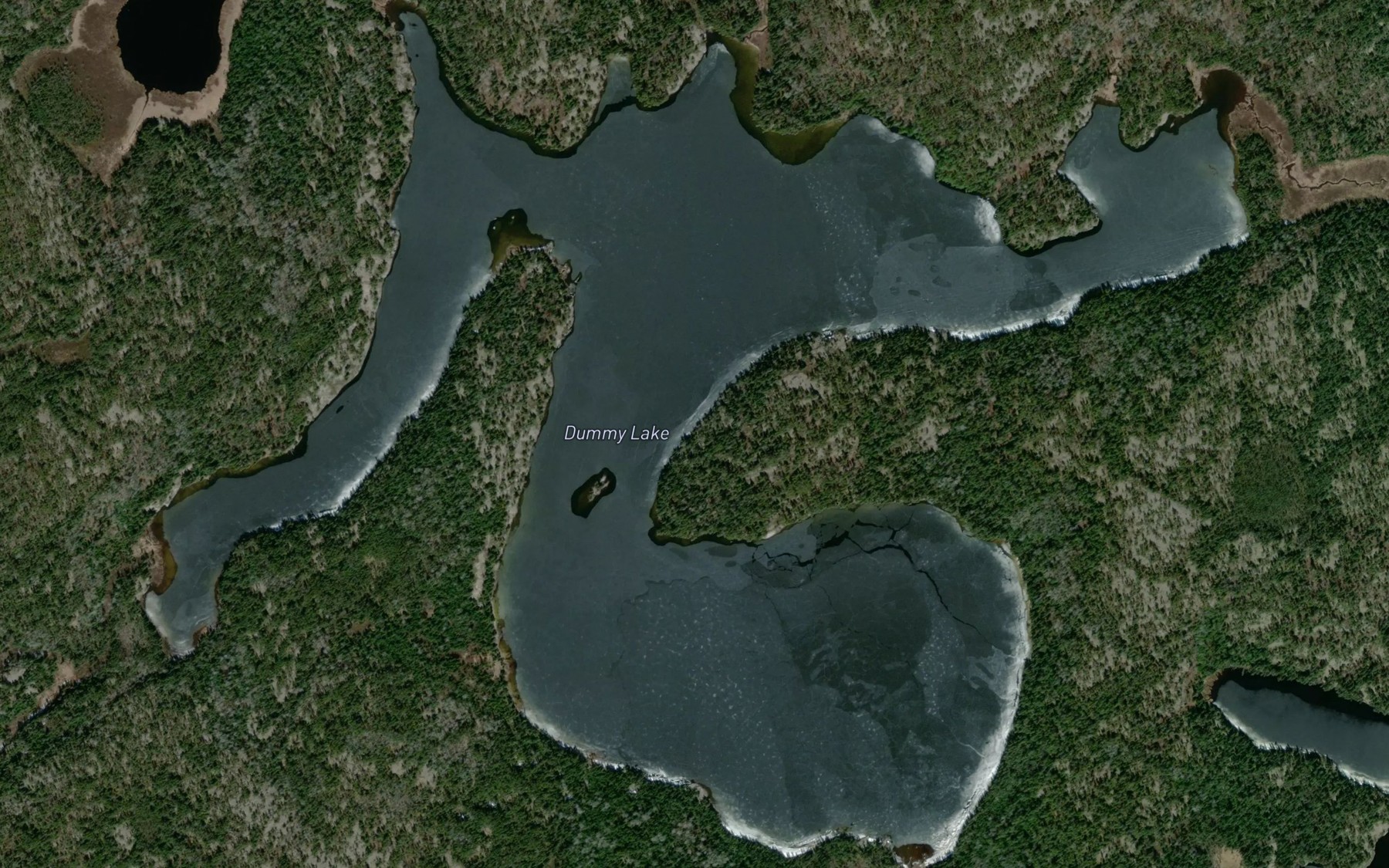 Satellite map of the Dummy Lake