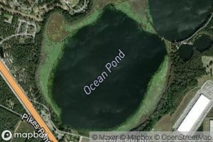 Ocean Pond