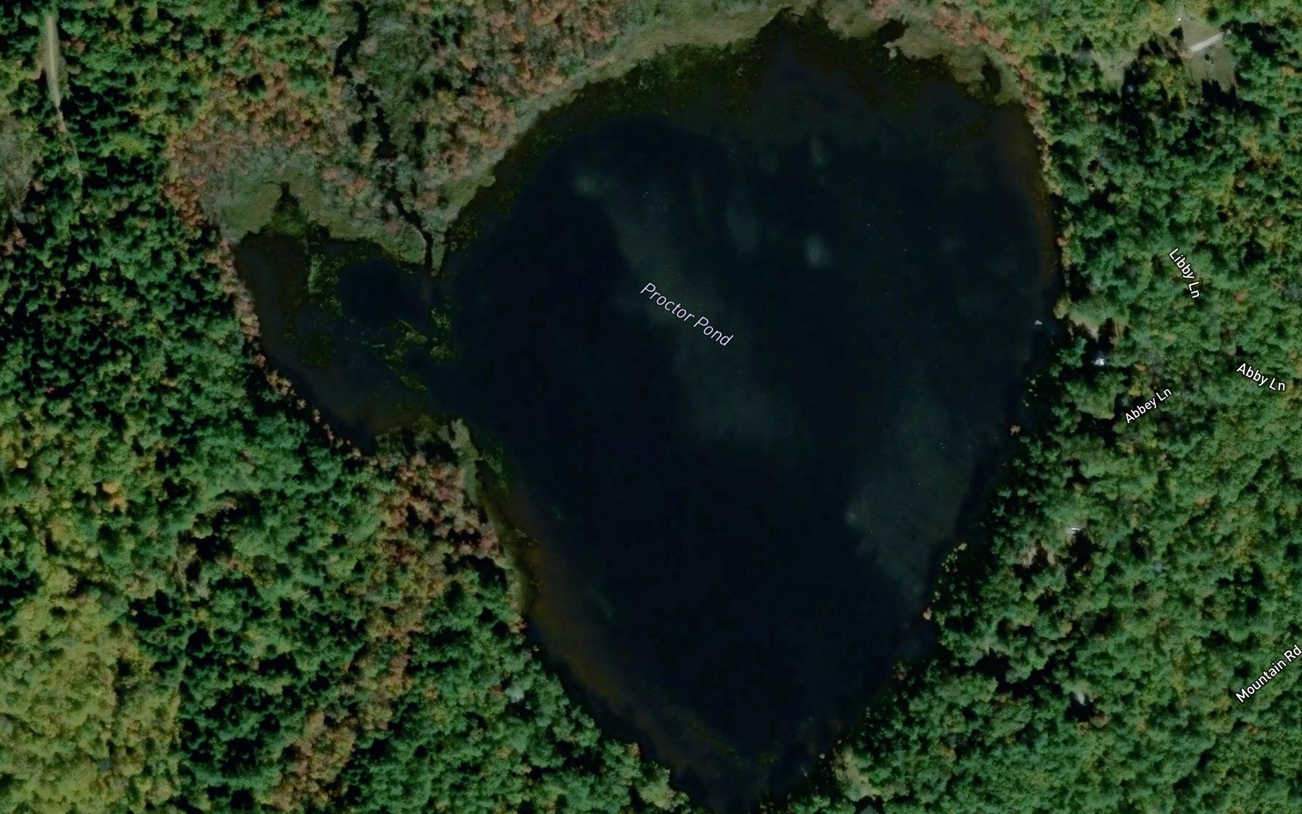 Proctor Pond