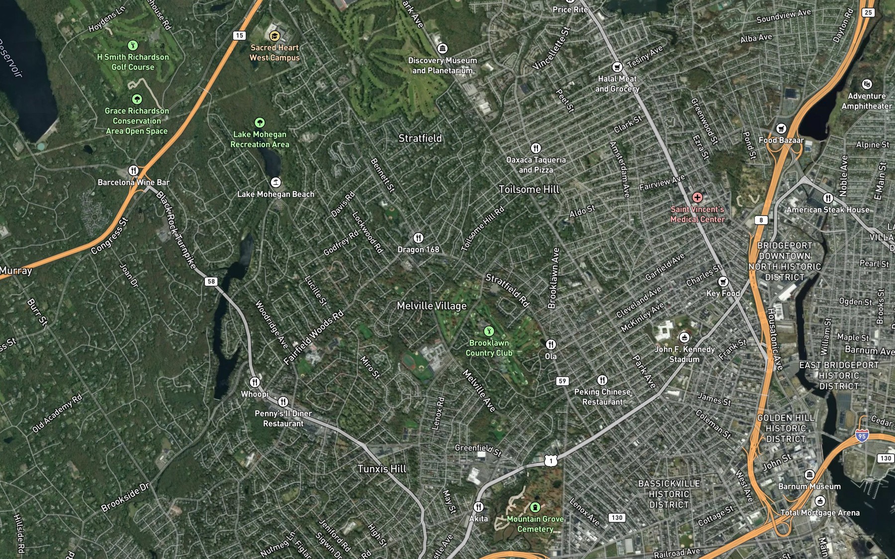 Satellite map of the Londons Brook