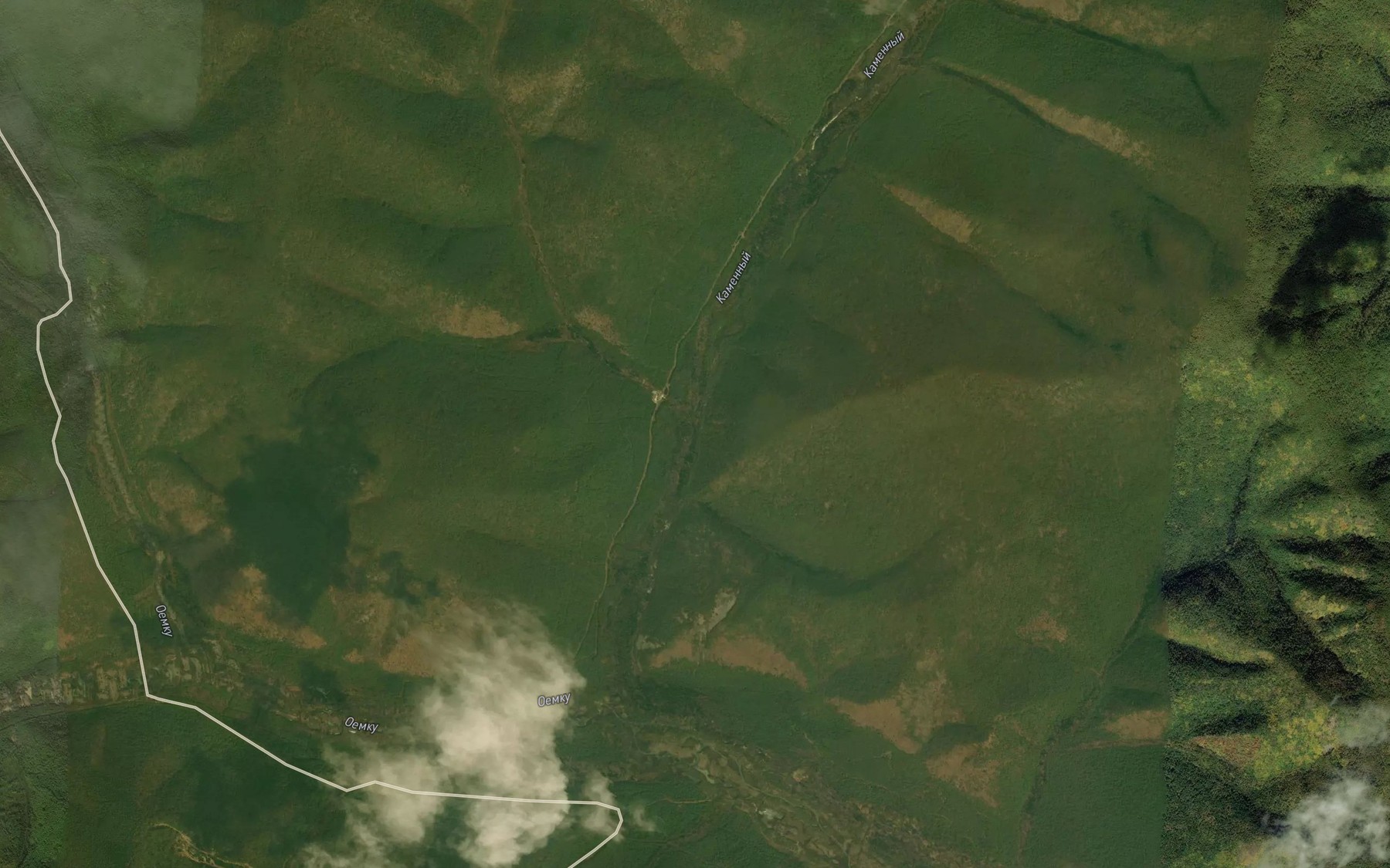 Satellite map of the Gorelyy