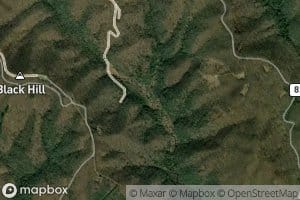 Robinson Fork
