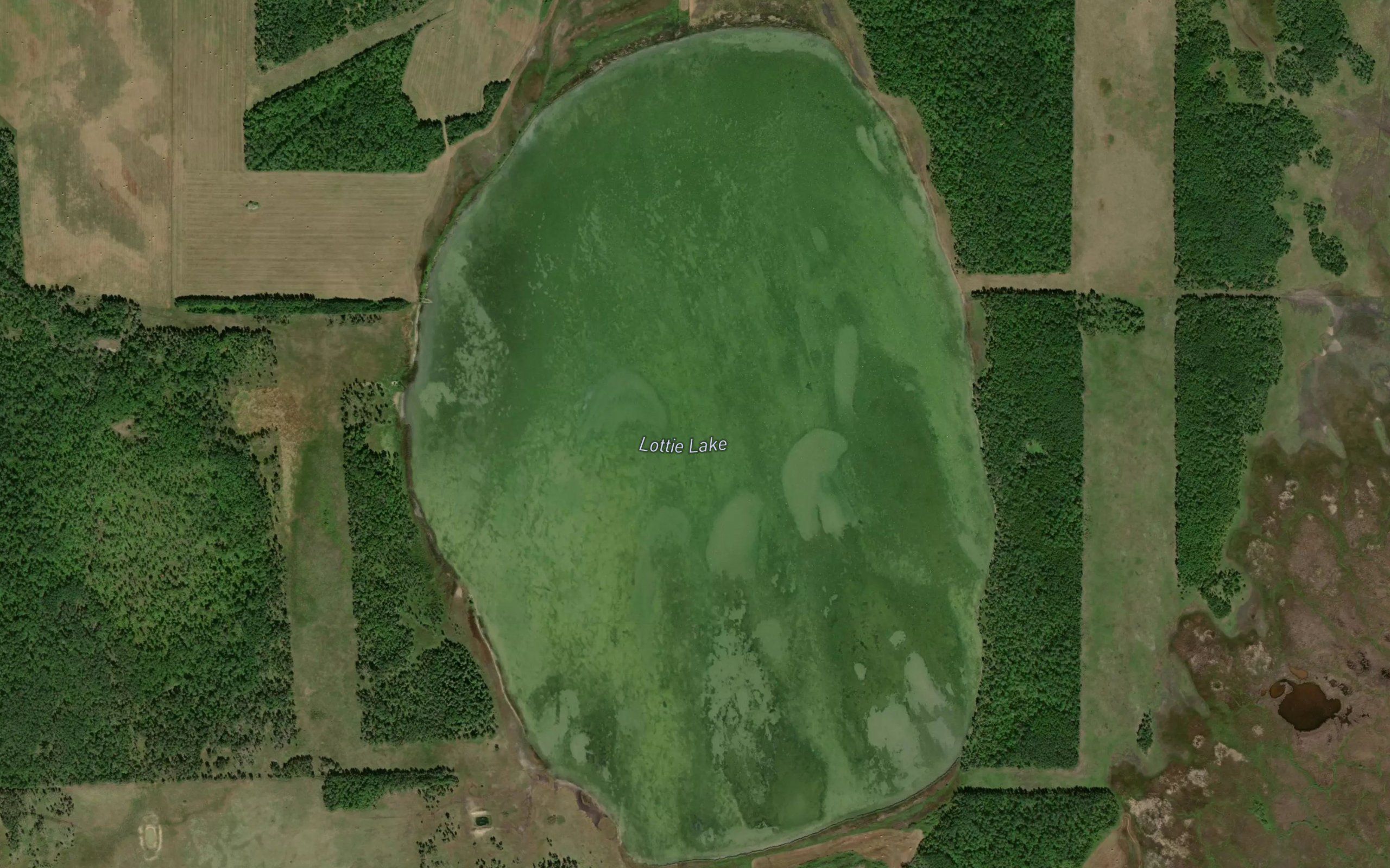 Lottie Lake