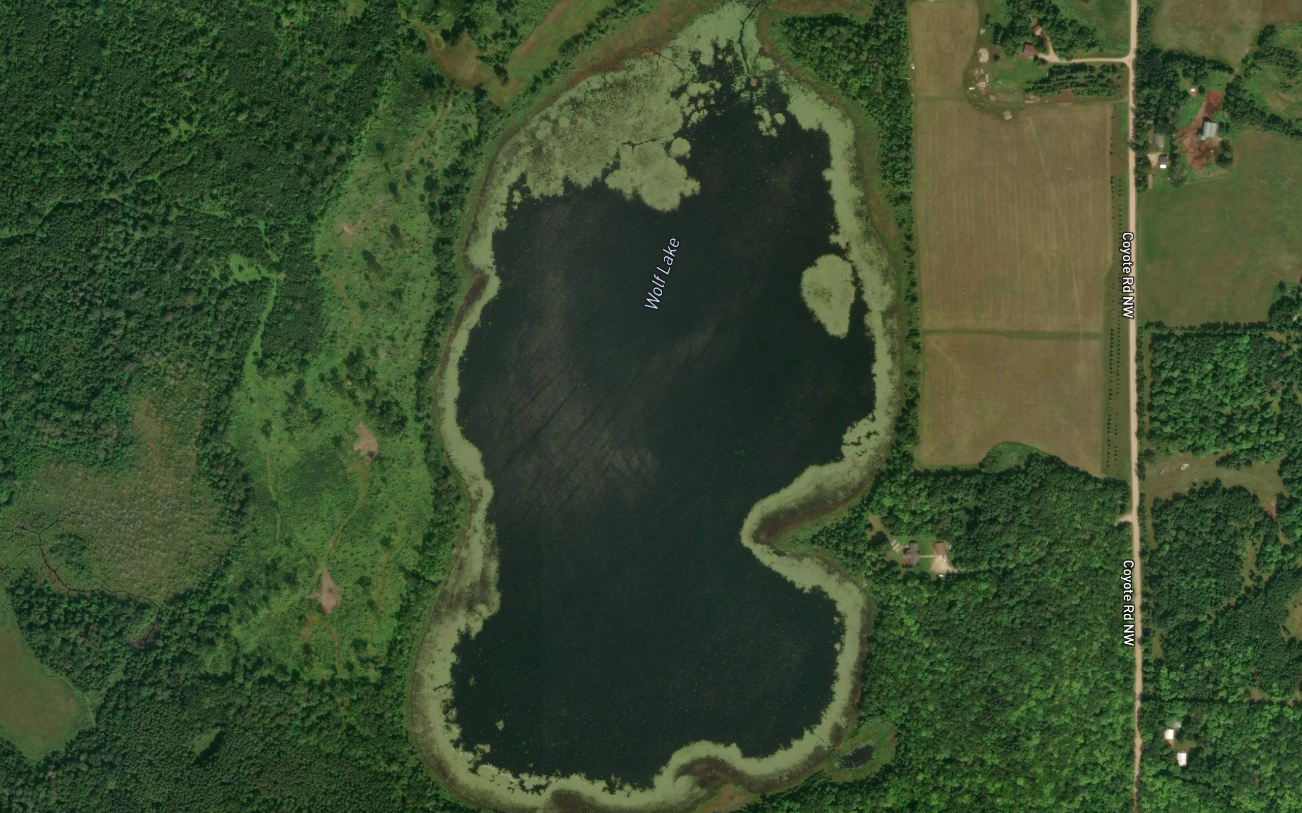 Wolf Lake