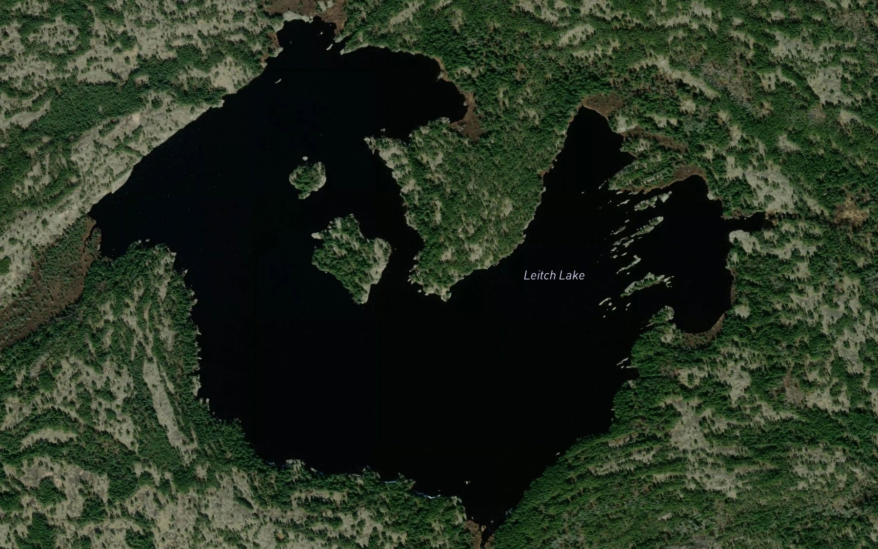Satellite map of the Leitch Lake