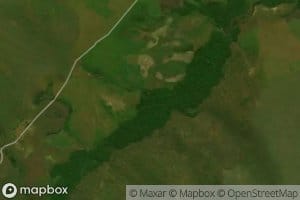 Matuta