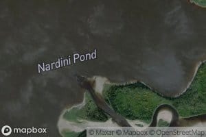 Nardini Pond