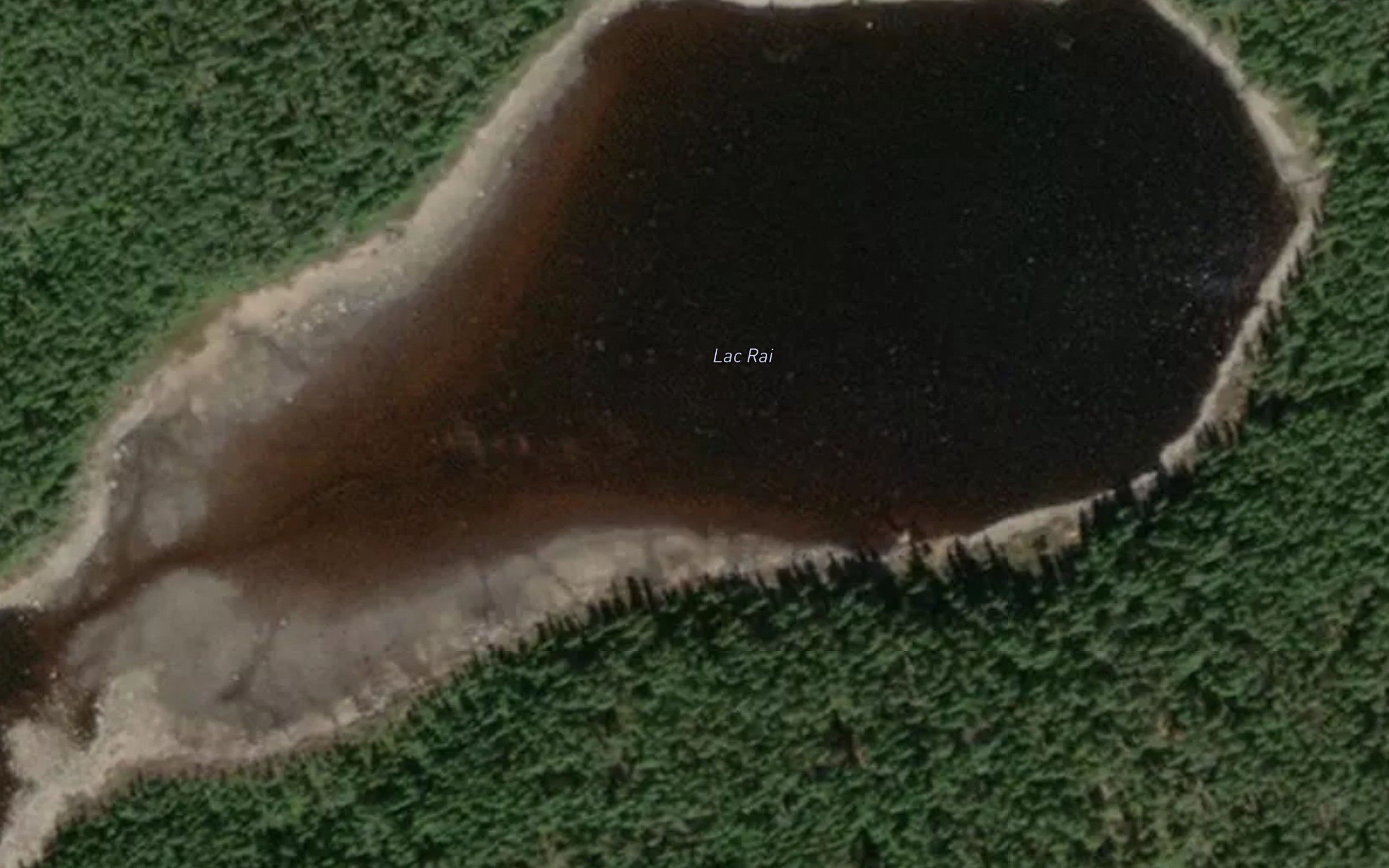 Lac Rai