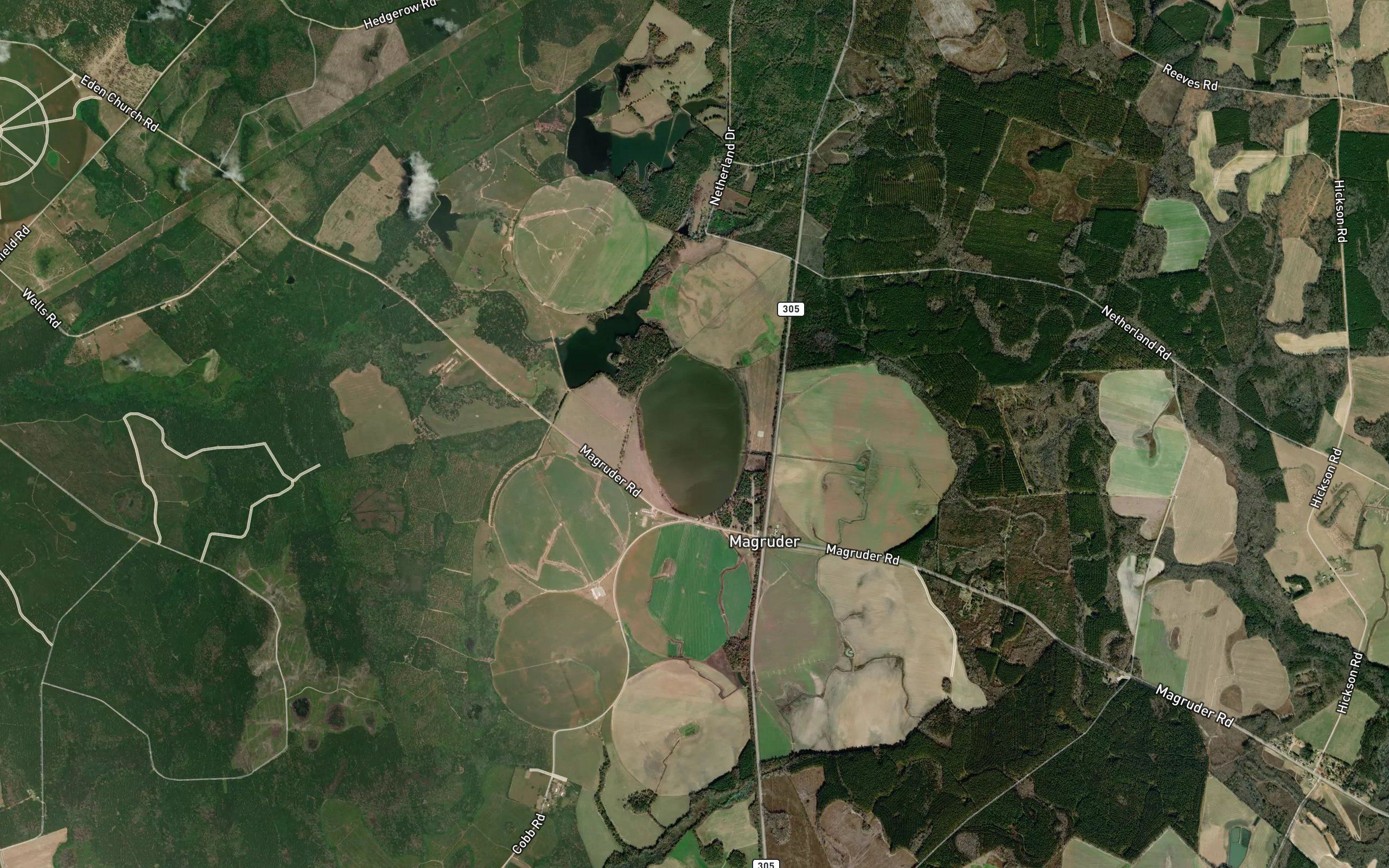 Turkey Pond