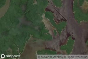 Whitney Channel