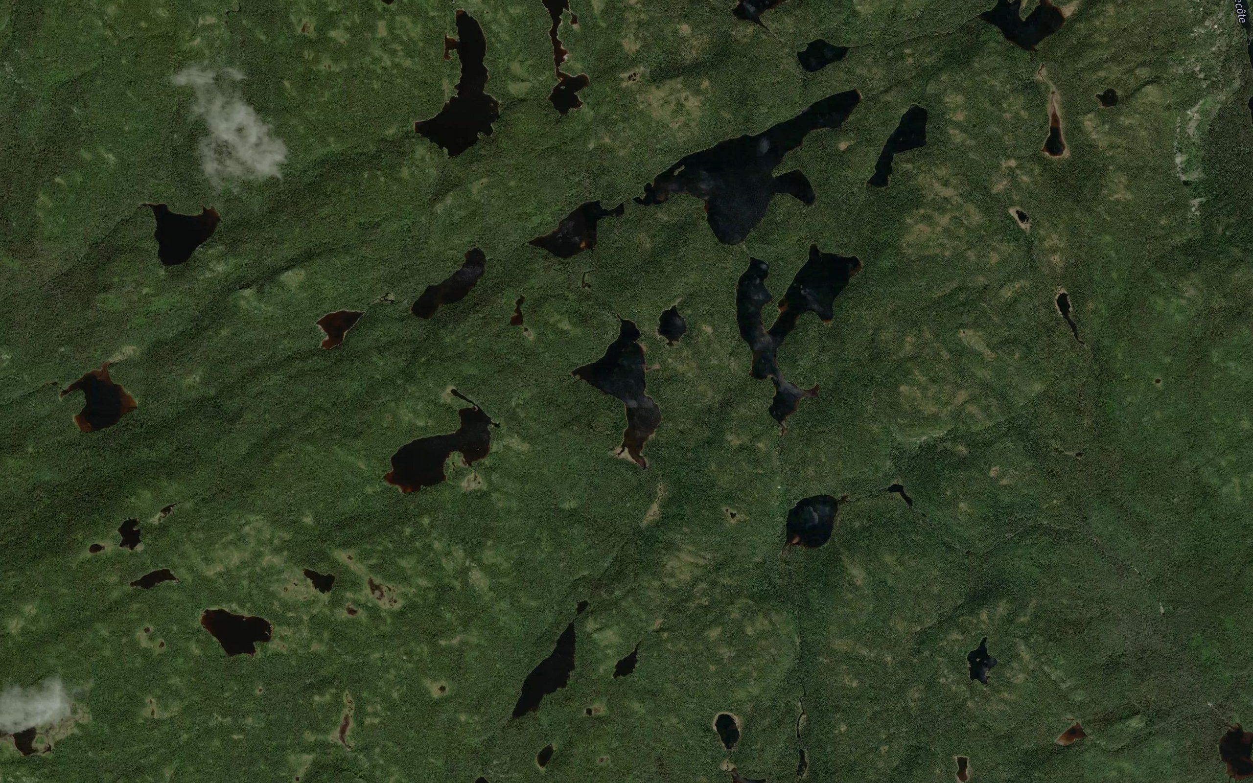 Lac des Oiseaux de l'Ombre