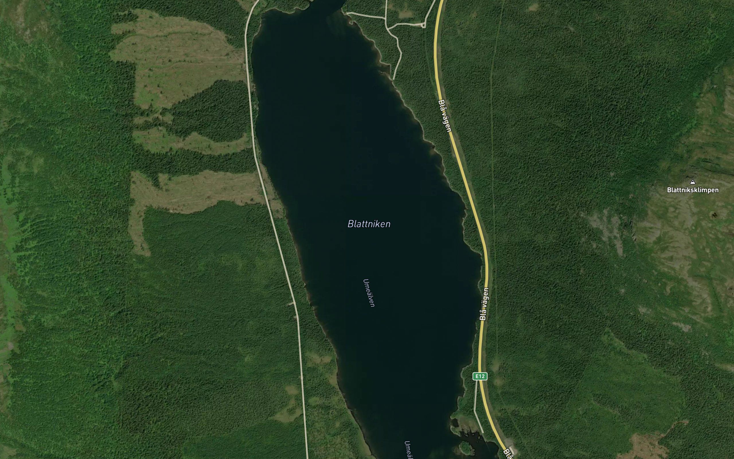 Blattnikselet